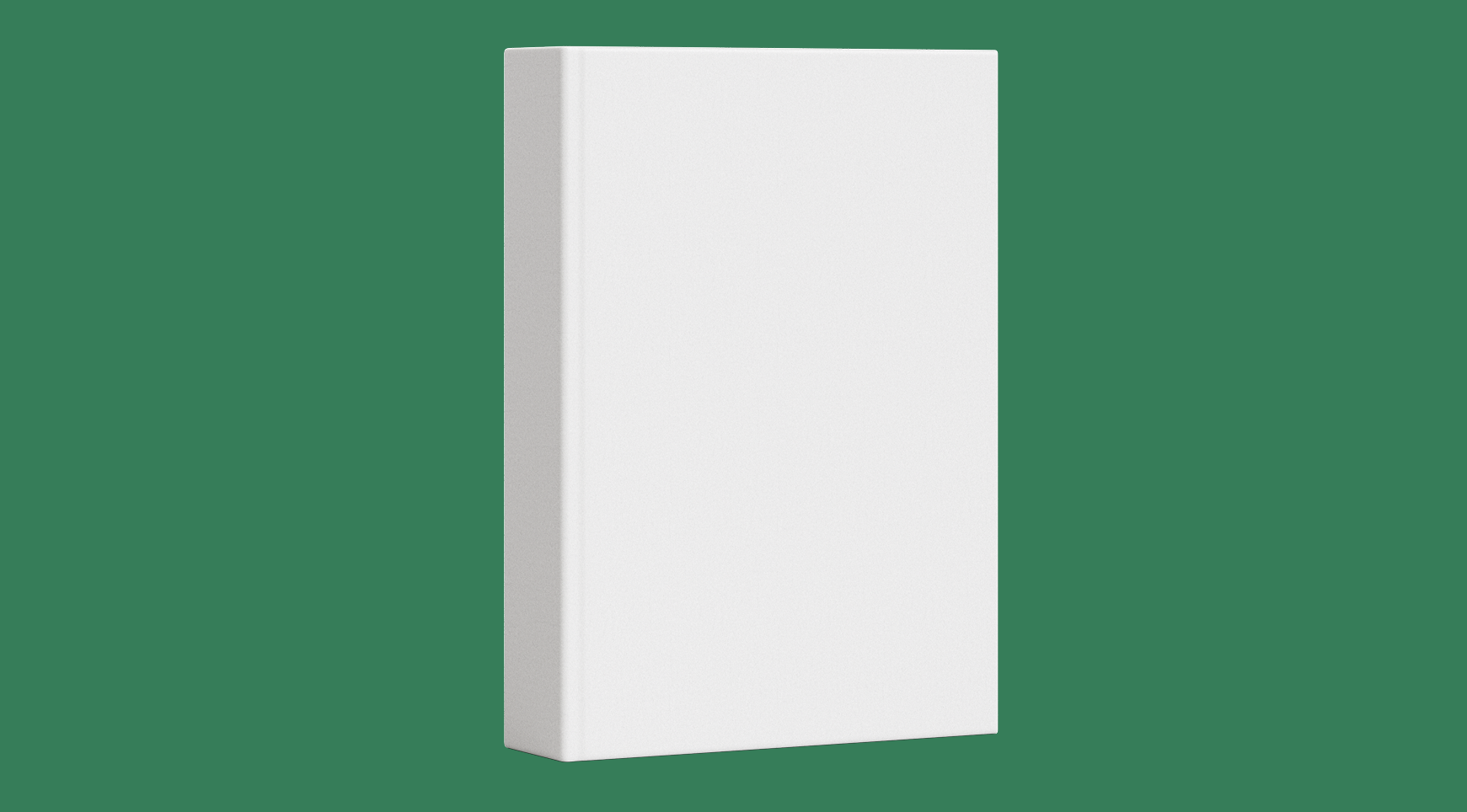 The book mockup